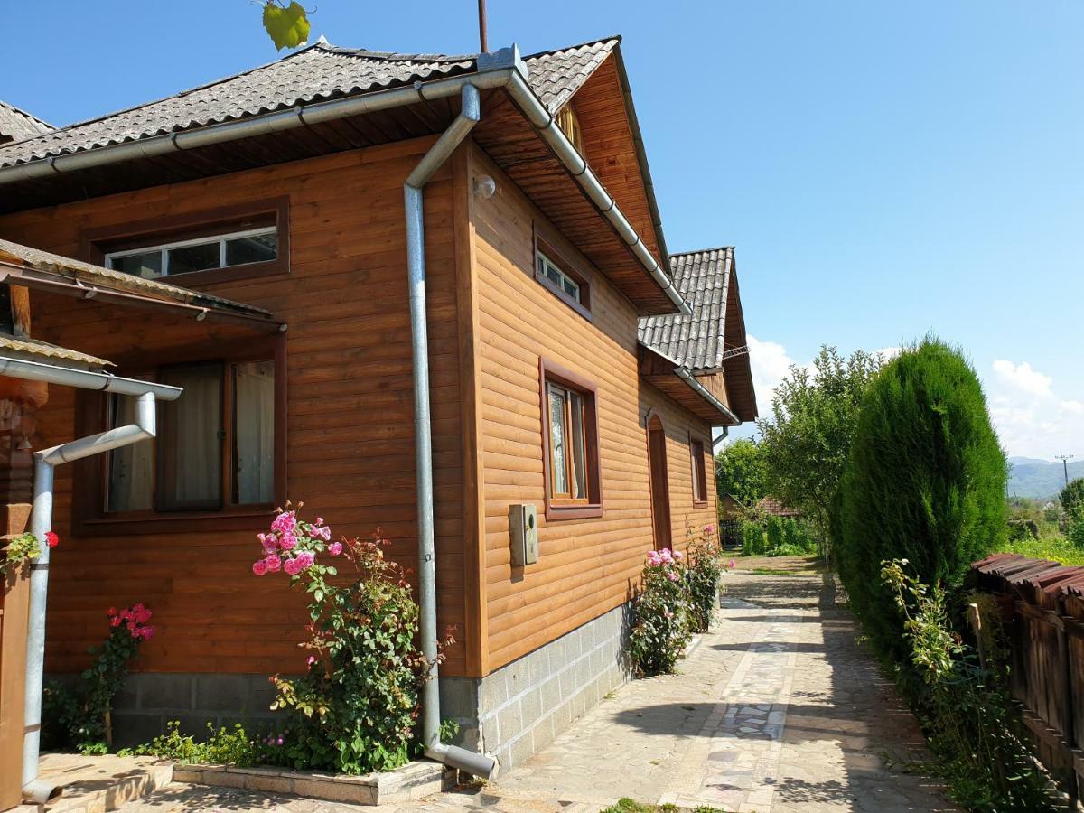 Pensiunea Ilea Ieud Exteriör bild